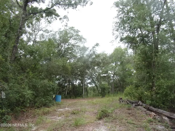 $25,000 | 164 Lake Circle, Satsuma, FL 32189