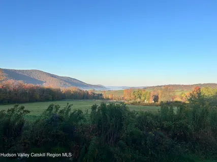 a view of a lush green hillside and a mountain