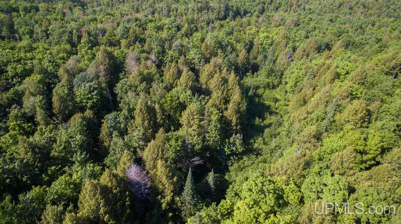 N2025 Co Road Marquette, MI 49855 - Photo 24 of 48