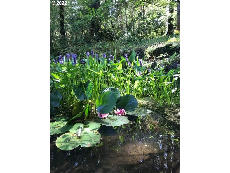 90445 Baker Road Elmira, OR 97437 - Photo 5 of 25 Pond