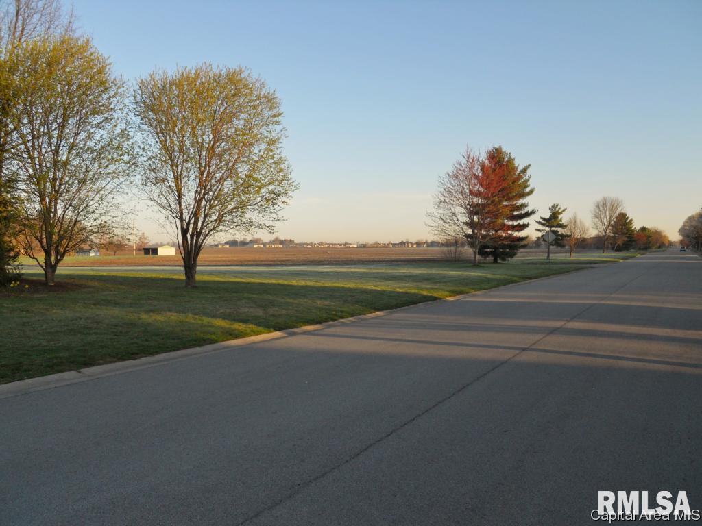Panther Creek West Springfield, IL 62711 - Photo 1 of 4 Gallery Image 1