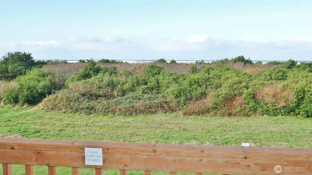 an aerial view of green landscape with trees