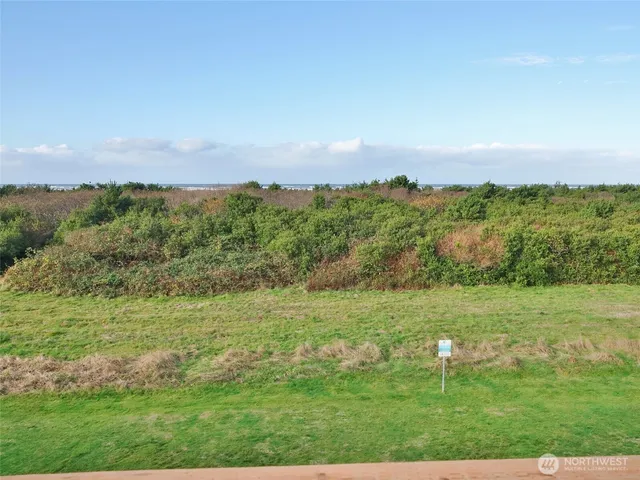 a view of a field with an trees