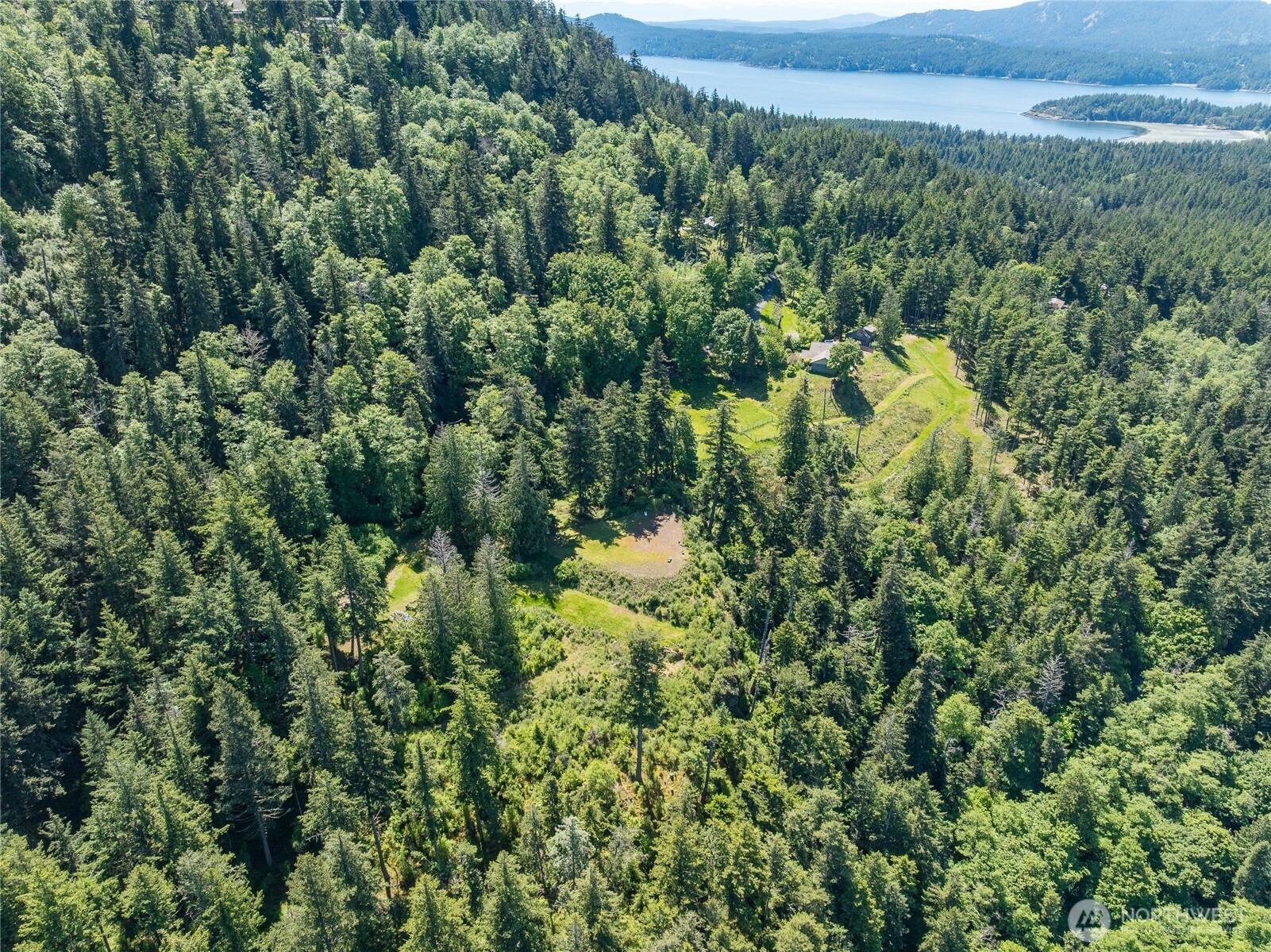 463 Wright Road Orcas Island, WA 98245 - Photo 37 of 40 a view of a forest with a street