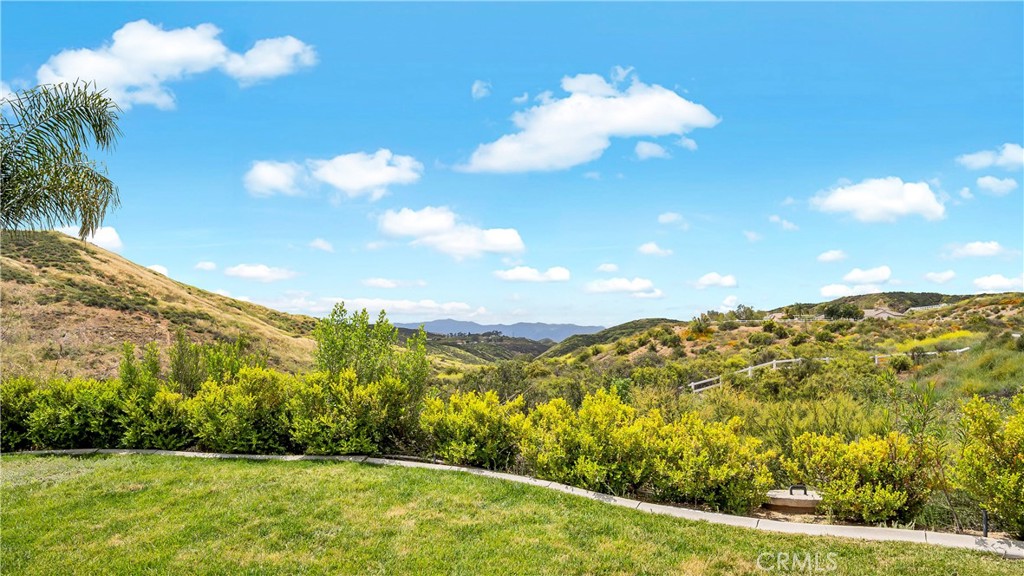 23894 Trail Duster Court Perris, CA 92570 - Photo 58 of 75