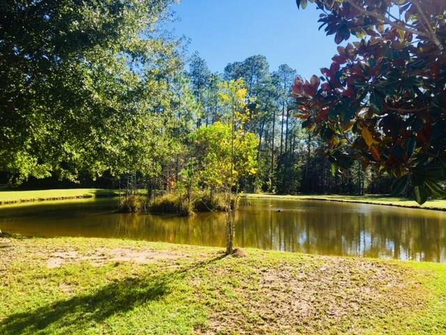 74450 Gottschalk Road Covington, LA 70435 - Photo 15 of 16 Gallery Image 15