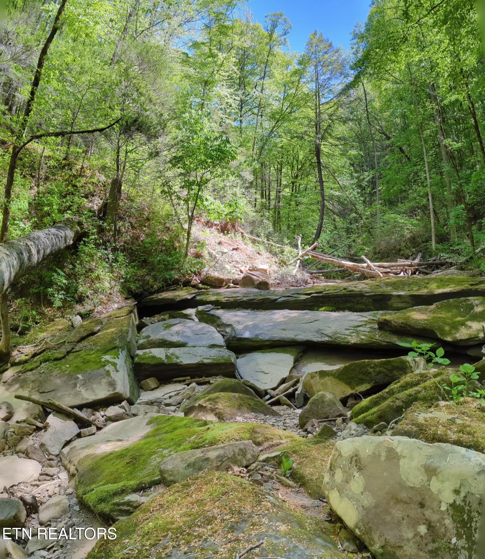 Cherokee Path Jamestown, TN 38556 - Photo 3 of 14 3