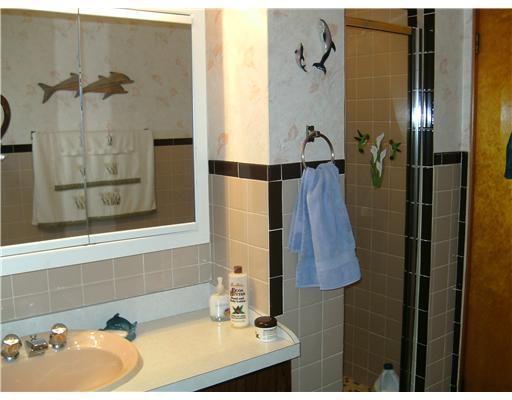 314 County Line Road Bridgeville, PA 15017 - Photo 14 of 16 Master Bath/Spa.