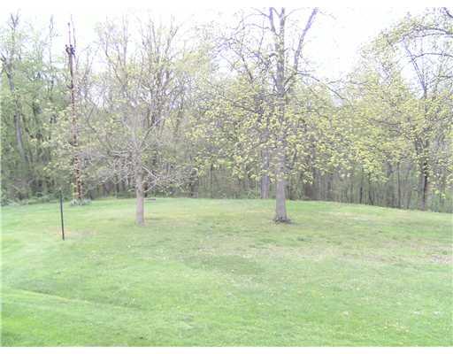 314 County Line Road Bridgeville, PA 15017 - Photo 5 of 16 Land.