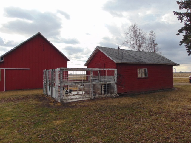 3569 East Polk Road Ithaca, MI 48847 - Photo 6 of 64 1885438-5.JPG