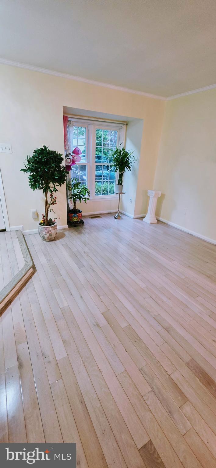 8434 Springfield Oaks Drive Springfield, VA 22153 - Photo 3 of 20 Living Area