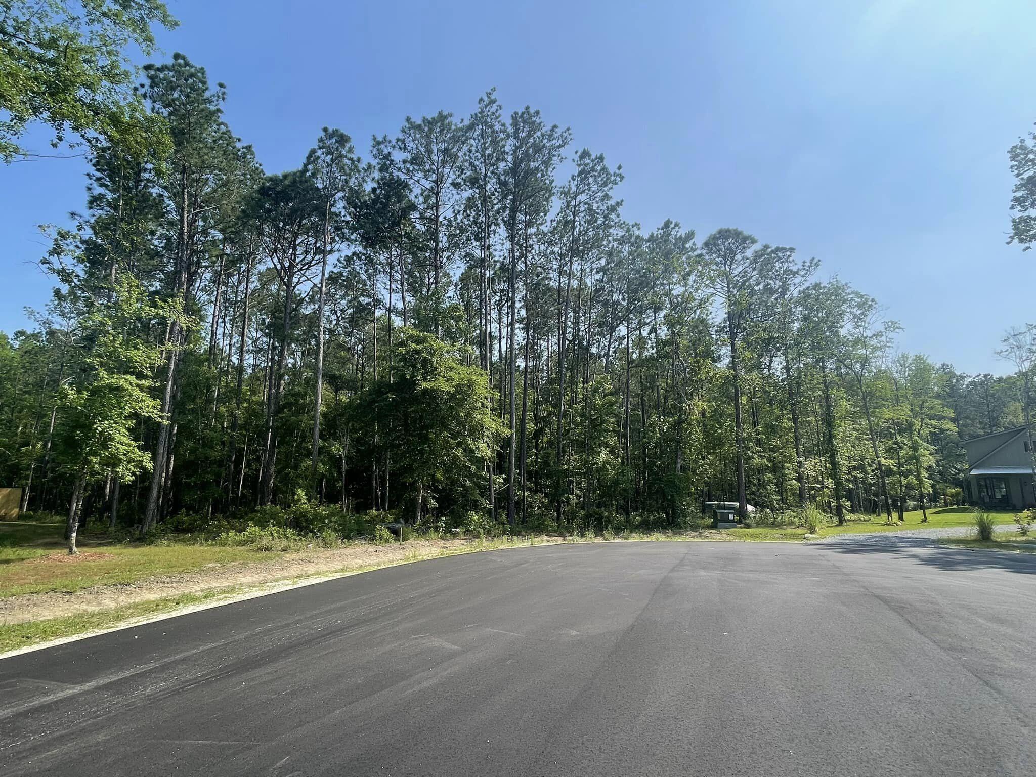 0 Raw Dew Drive Awendaw, SC 29429 - Photo 14 of 14 Raw Dew H far cul de sac pic