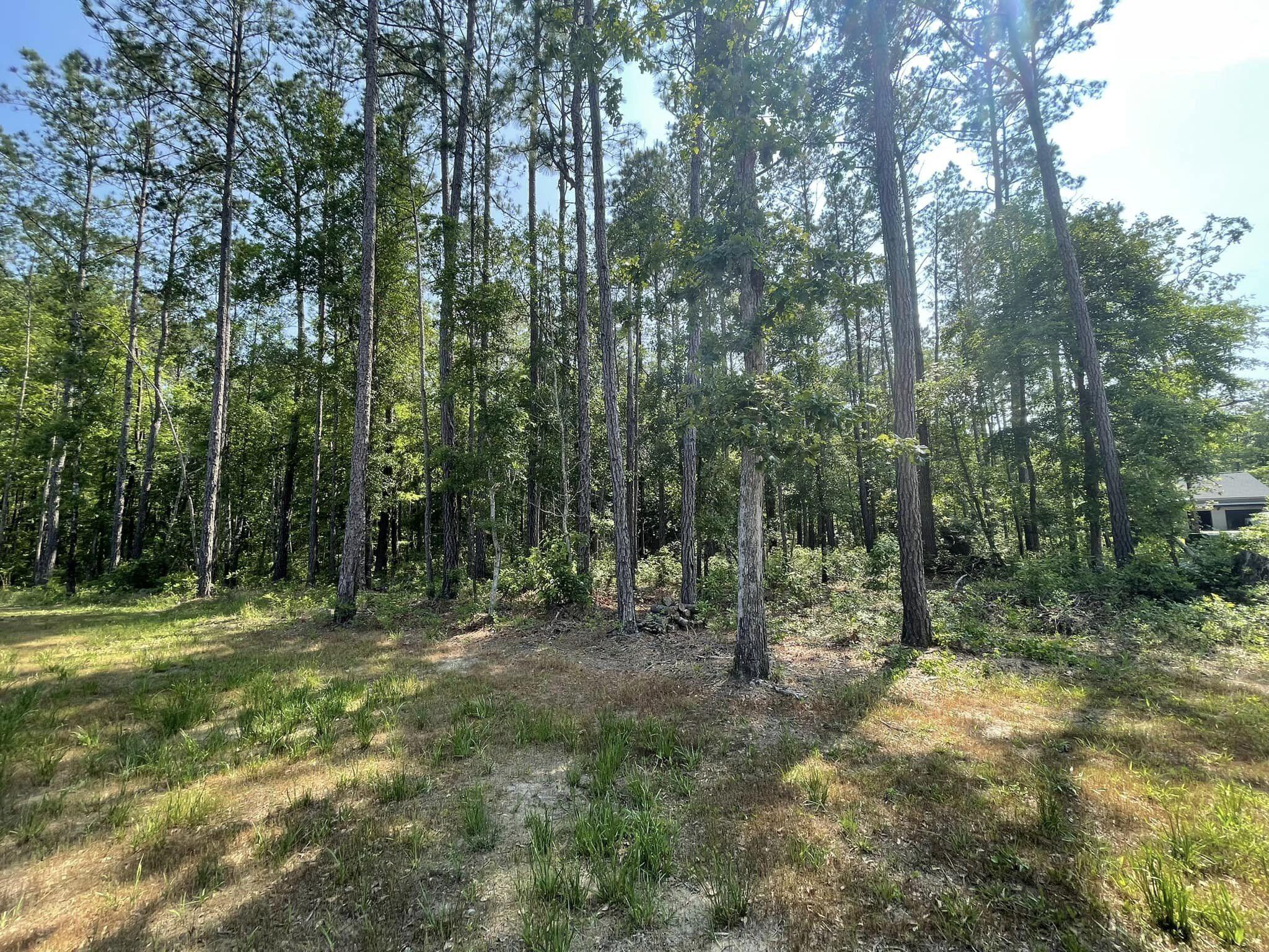 0 Raw Dew Drive Awendaw, SC 29429 - Photo 2 of 14 Raw Dew H close side view