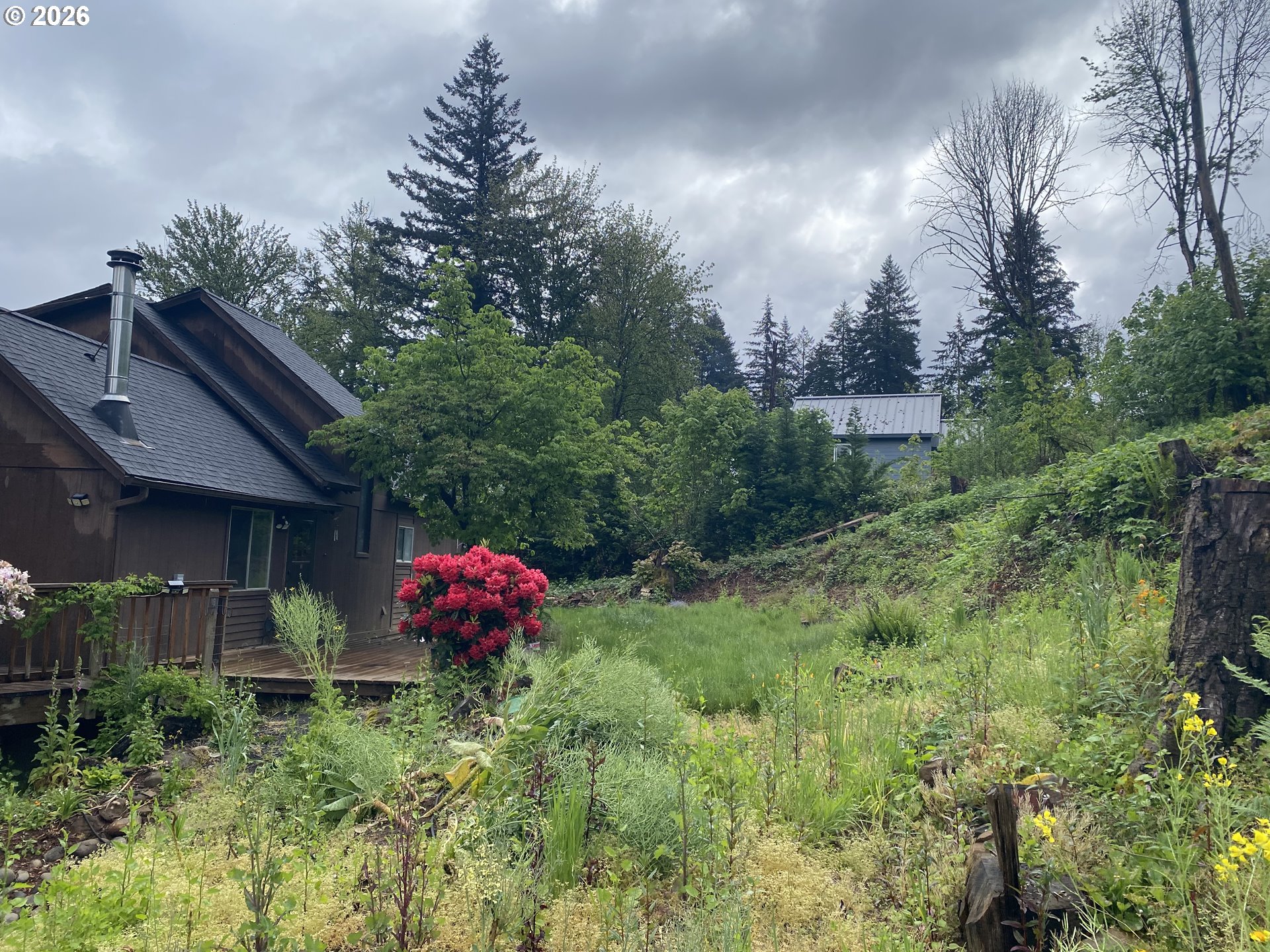 45300 Goodpasture Road Vida, OR 97488 - Photo 9 of 38