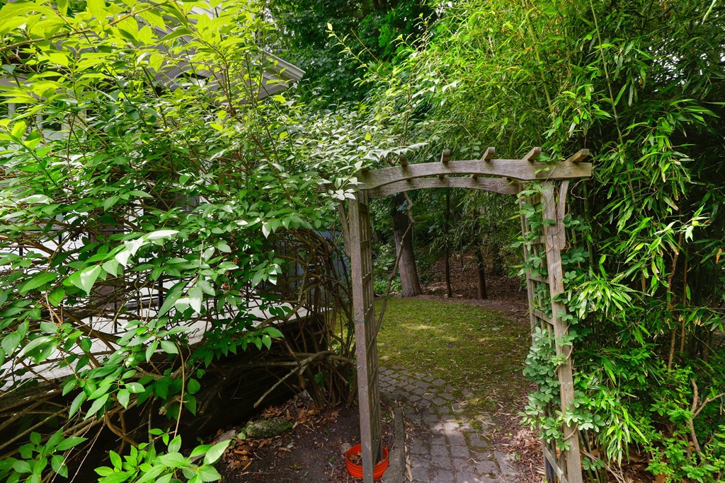 37 Louise Road, Unit 37 Newton, MA 02467 - Photo 29 of 33 a view of a backyard
