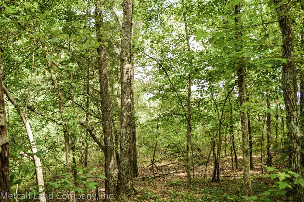 0 Cemetery Road Cowpens, SC 29330 - Photo 10 of 13