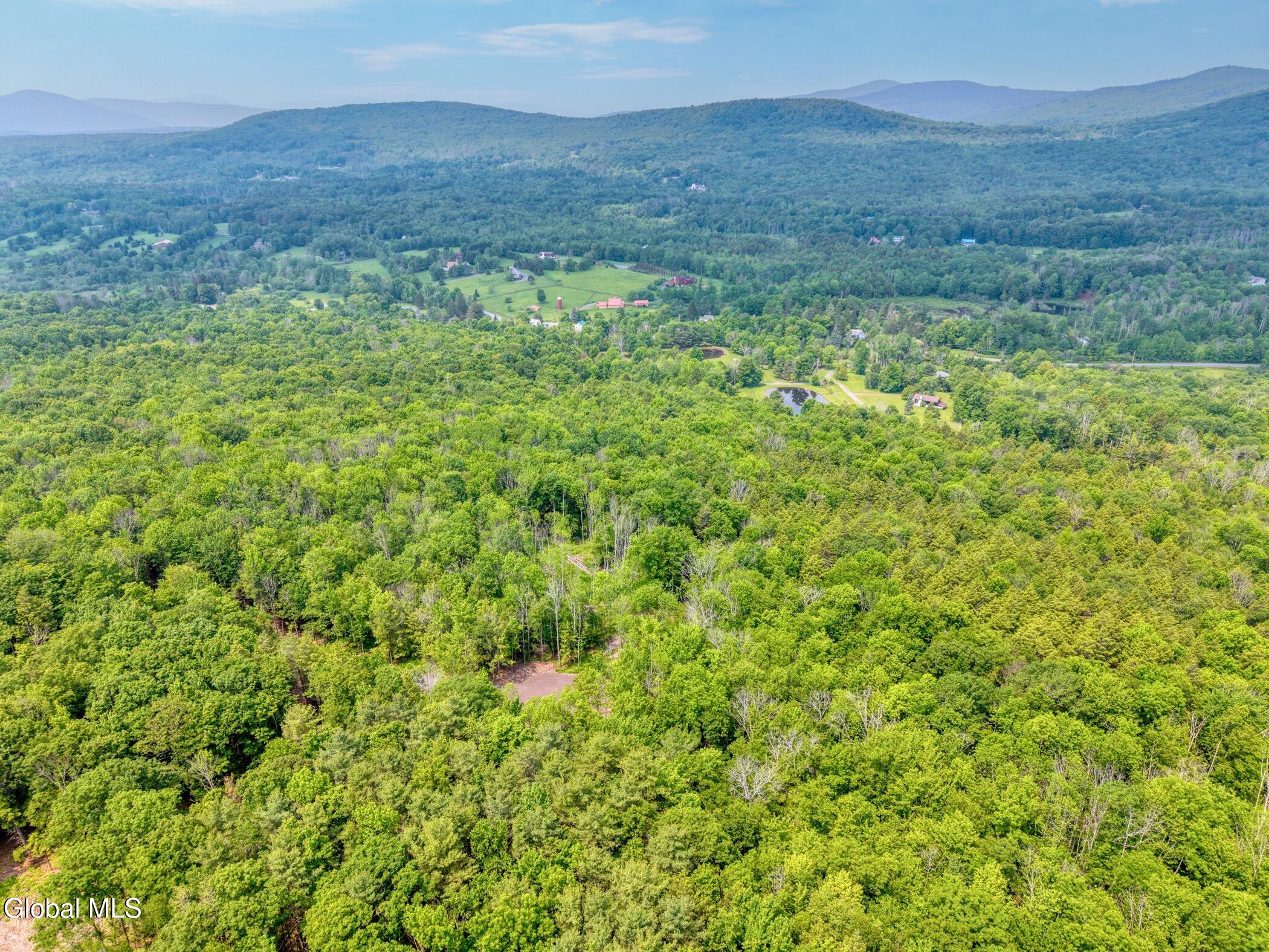 L36 Boulder Brook Road, Unit LOT # 12 Windham, NY 12496 - Photo 35 of 44 Image-50