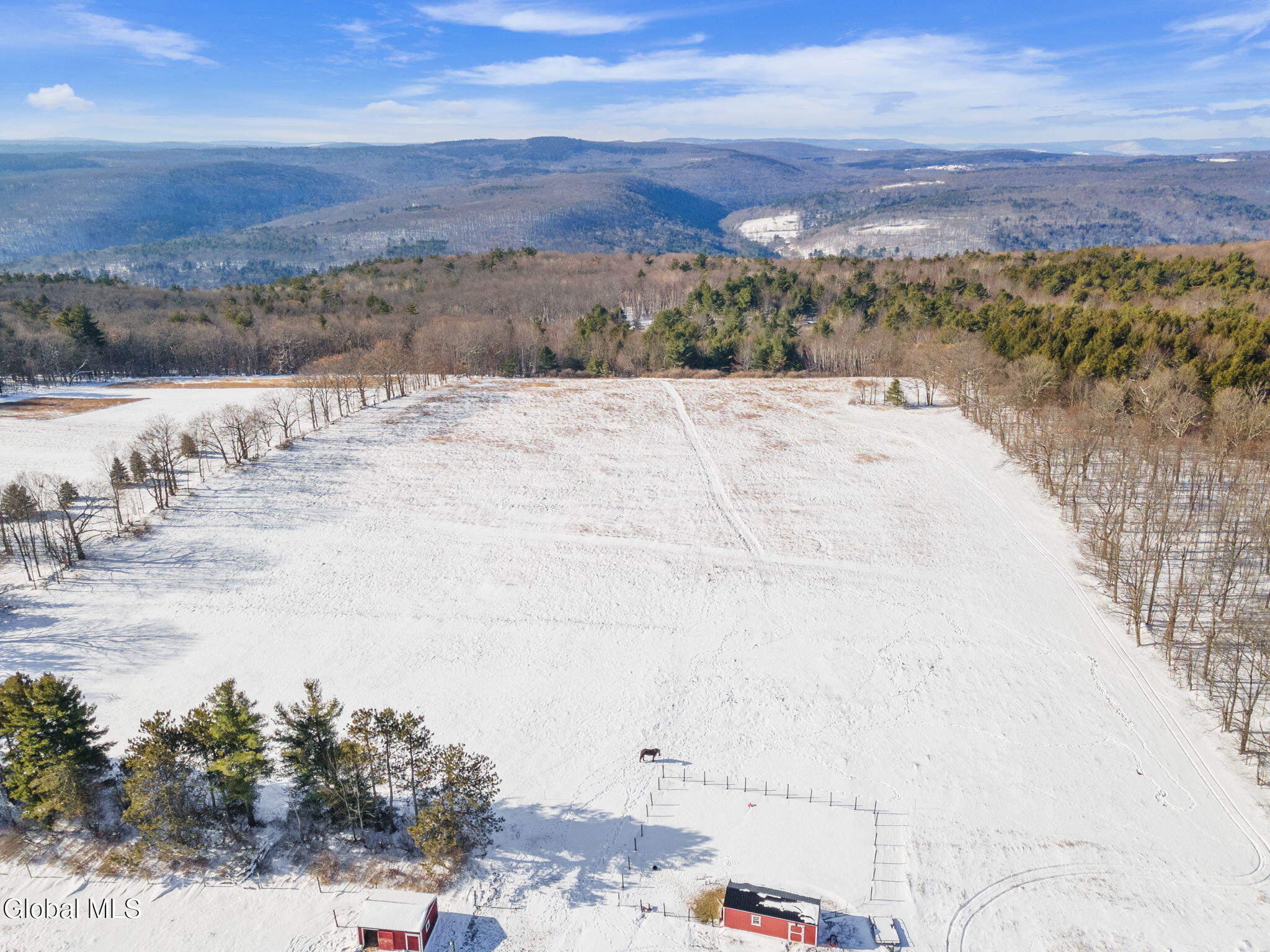929 Patria Road Fulton, NY 12187 - Photo 49 of 82 49-929PatriaRd_49