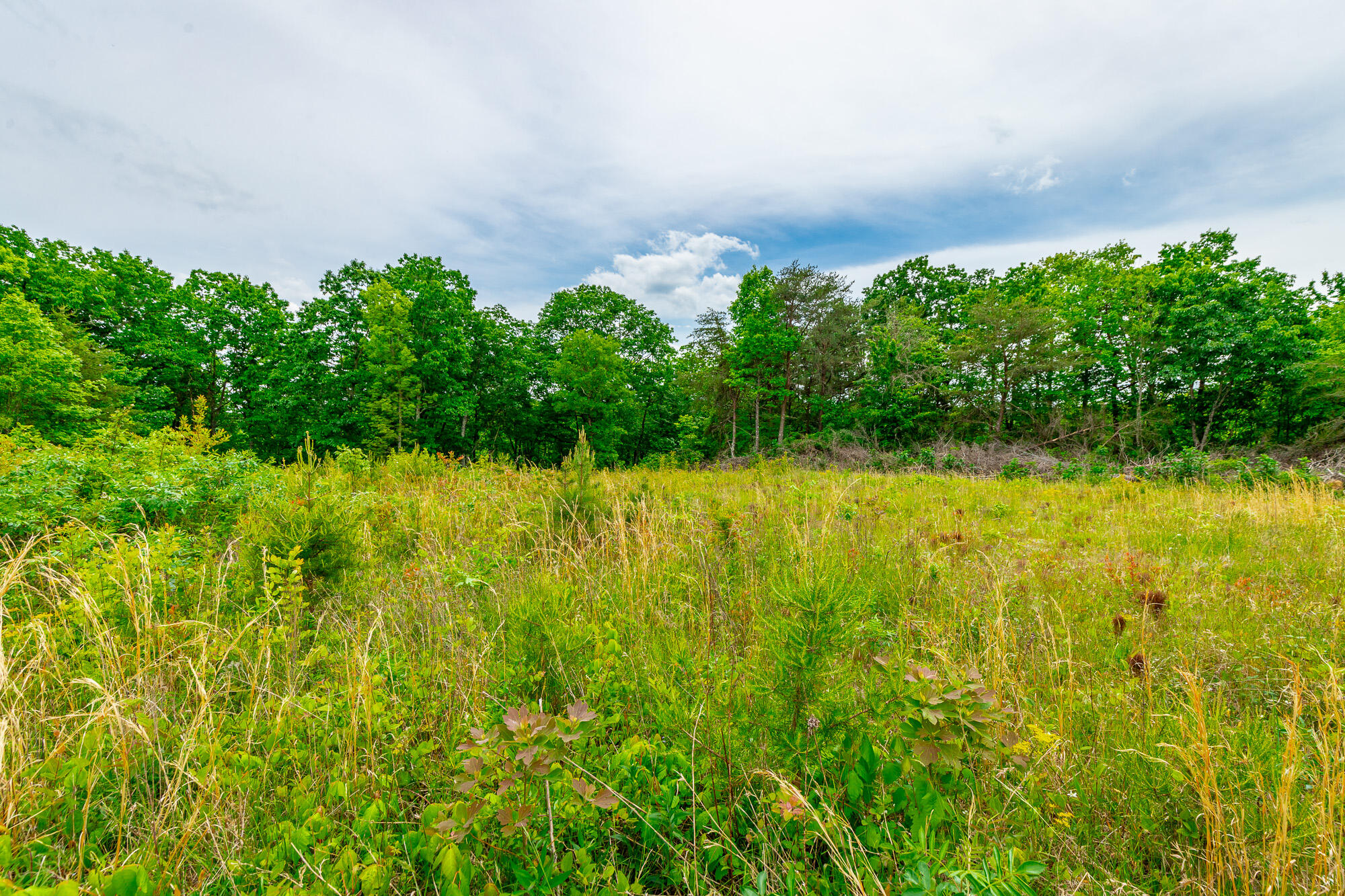 0 Ray Gadd Road Graysville, TN 37338 - Photo 80 of 109 Ray Gadd Road Lot HD-25