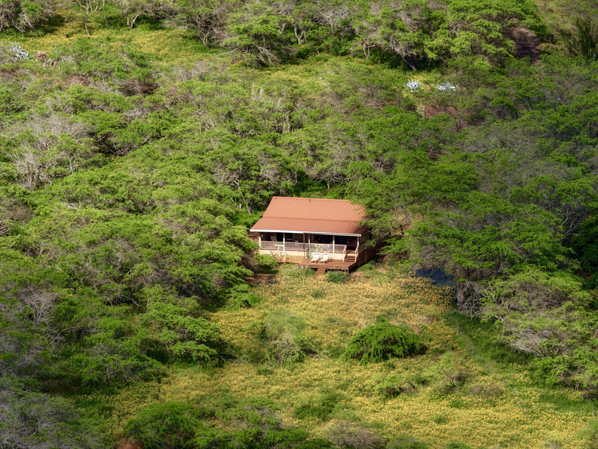 94 Noho Lio Road, Unit 157 Maunaloa, HI 96770 - Photo 23 of 38