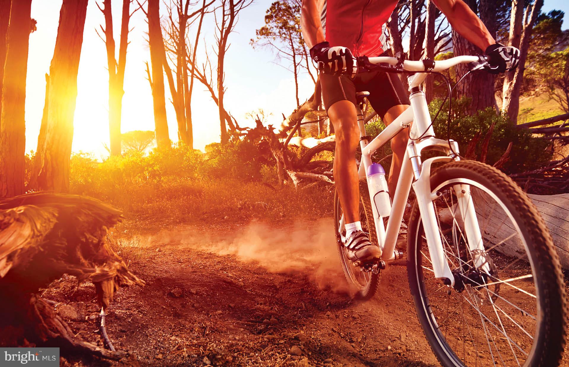 3446 Watershed Boulevard Laurel, MD 20724 - Photo 22 of 28 Stay Active on Trails