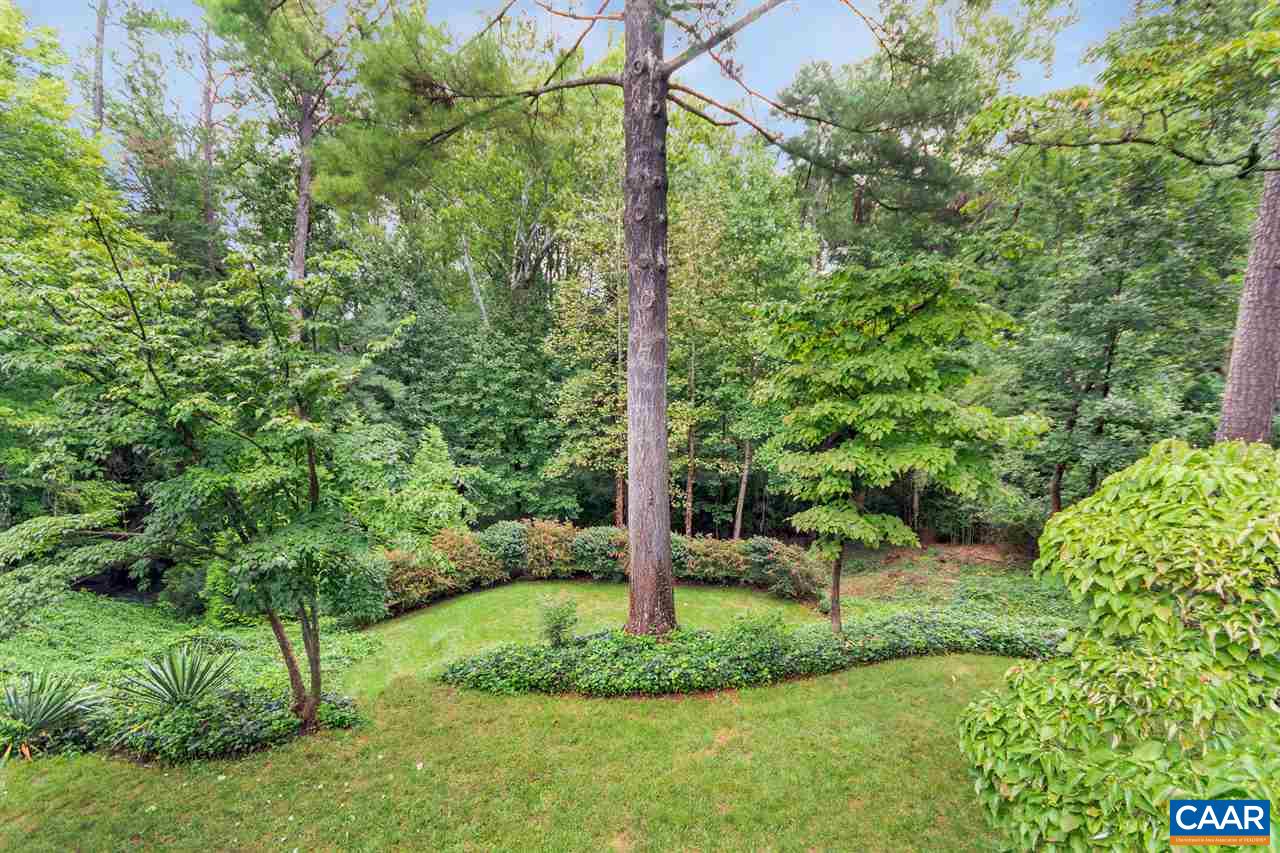 2015 Spottswood Road Charlottesville, VA 22903 - Photo 39 of 41 Rear yard