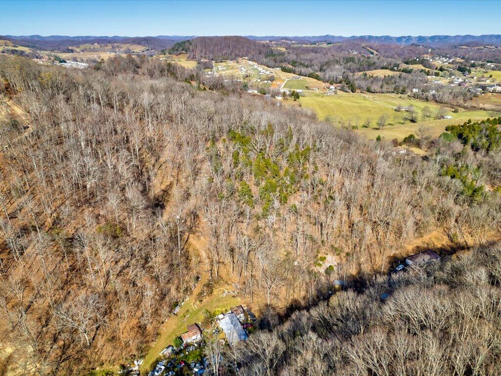 0 Reesor Hollow Road Church Hill, TN 37642 - Photo 1 of 35 07-Carters Valley Rd Parcel 020 054.05-7