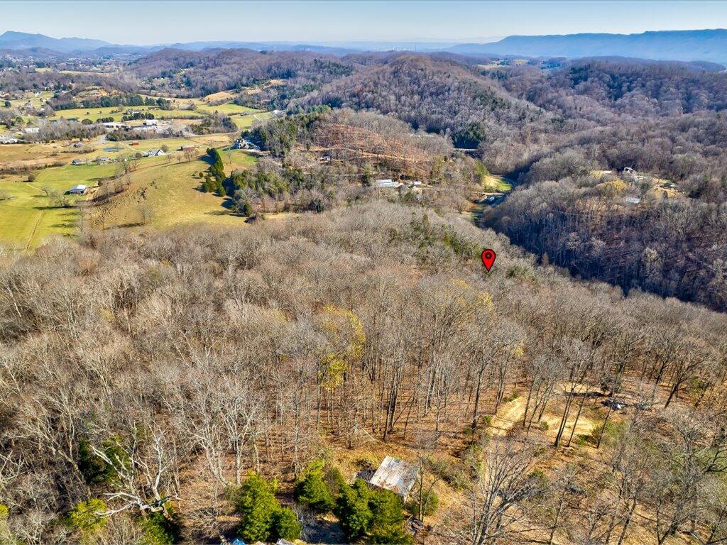 0 Reesor Hollow Road Church Hill, TN 37642 - Photo 15 of 35 Reesor Hollow Rd - 9