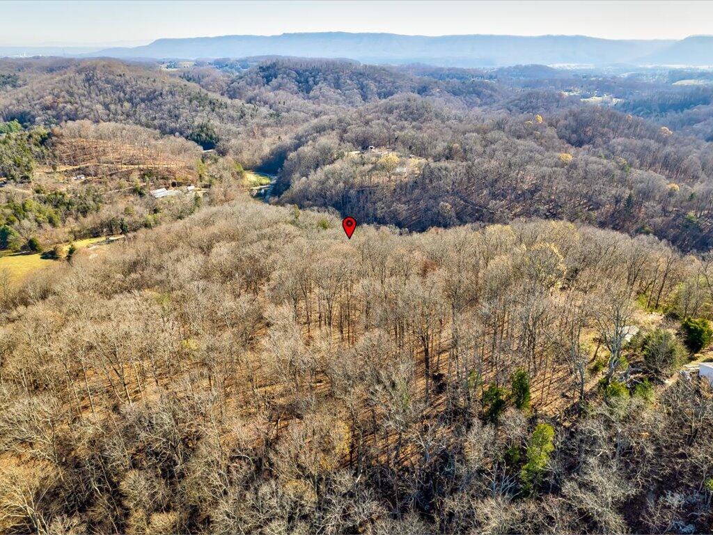 0 Reesor Hollow Road Church Hill, TN 37642 - Photo 16 of 35 Reesor Hollow Rd - 10