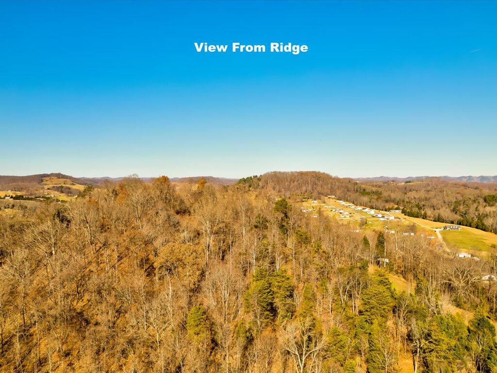 0 Reesor Hollow Road Church Hill, TN 37642 - Photo 23 of 35 Reesor Hollow Rd - 17