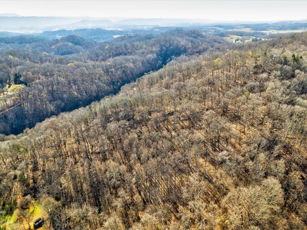 0 Reesor Hollow Road Church Hill, TN 37642 - Photo 28 of 35 Reesor Hollow Rd - 22