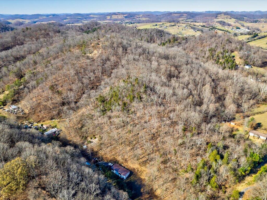 0 Reesor Hollow Road Church Hill, TN 37642 - Photo 31 of 35 Reesor Hollow Rd - 25