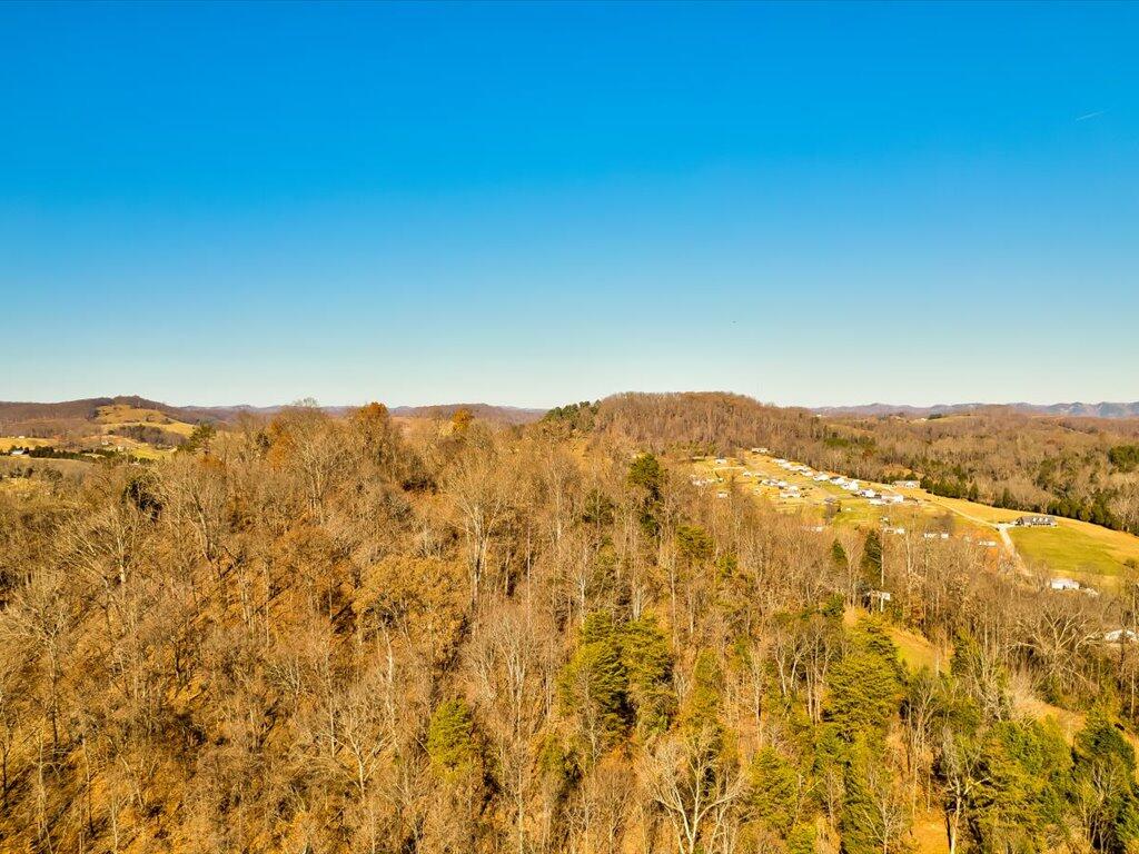 0 Reesor Hollow Road Church Hill, TN 37642 - Photo 35 of 35 Reesor Hollow Rd - 29