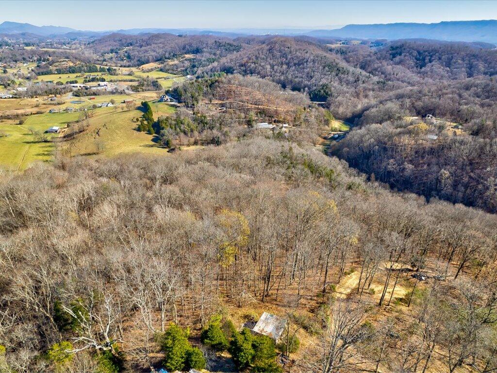 0 Reesor Hollow Road Church Hill, TN 37642 - Photo 4 of 35 13-Carters Valley Rd Parcel 020 054.05-1