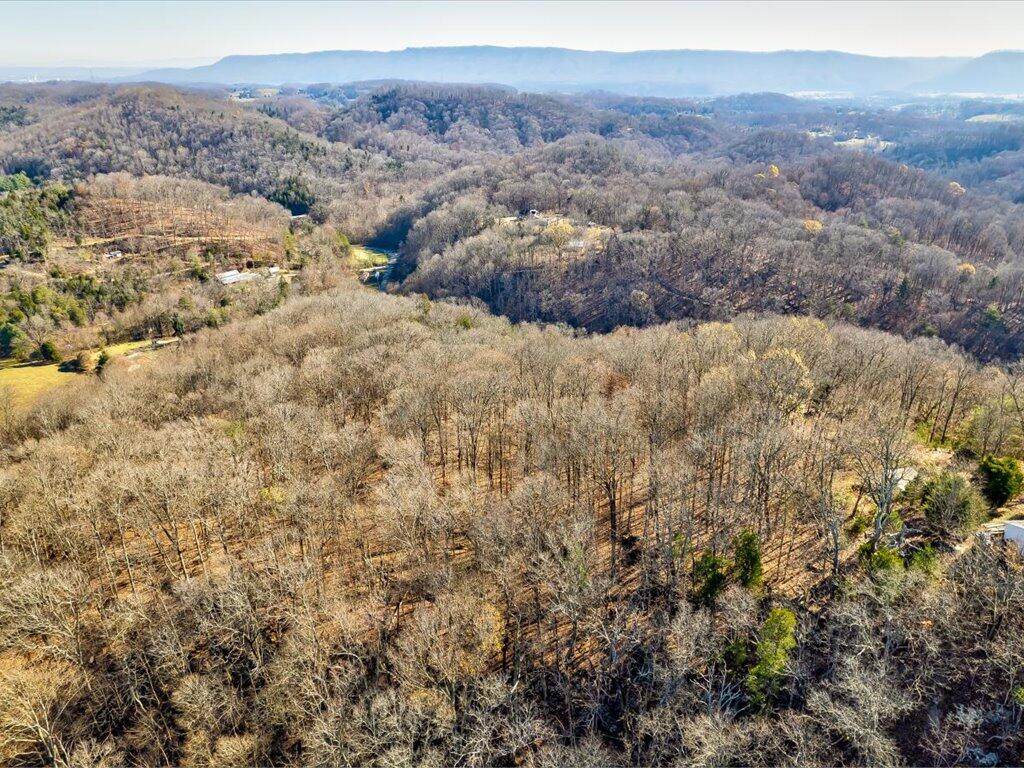 0 Reesor Hollow Road Church Hill, TN 37642 - Photo 5 of 35 15-Carters Valley Rd Parcel 020 054.05-1