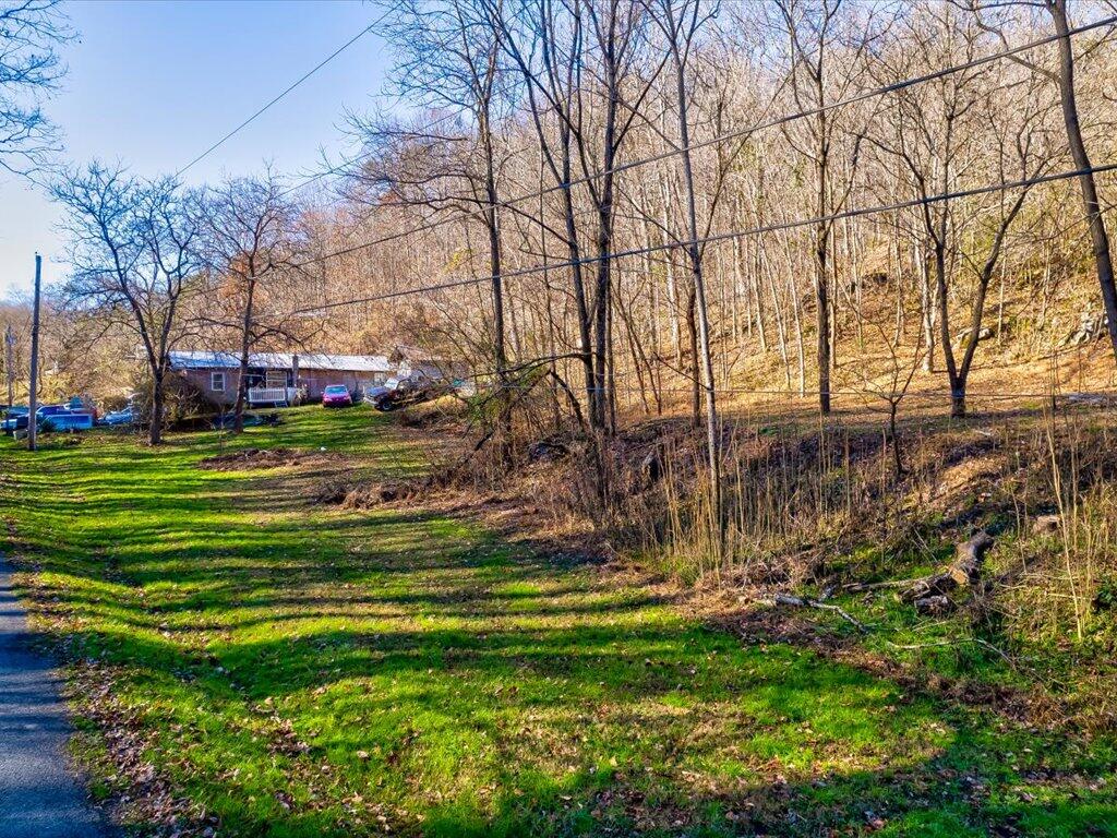 0 Reesor Hollow Road Church Hill, TN 37642 - Photo 7 of 35 Reesor Hollow Rd - 1