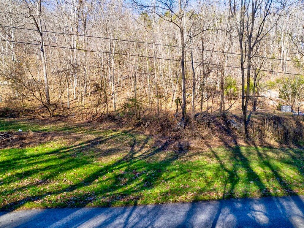 0 Reesor Hollow Road Church Hill, TN 37642 - Photo 8 of 35 Reesor Hollow Rd - 2