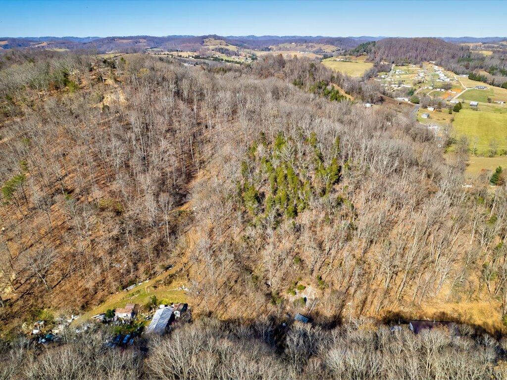0 Reesor Hollow Road Church Hill, TN 37642 - Photo 9 of 35 Reesor Hollow Rd - 3
