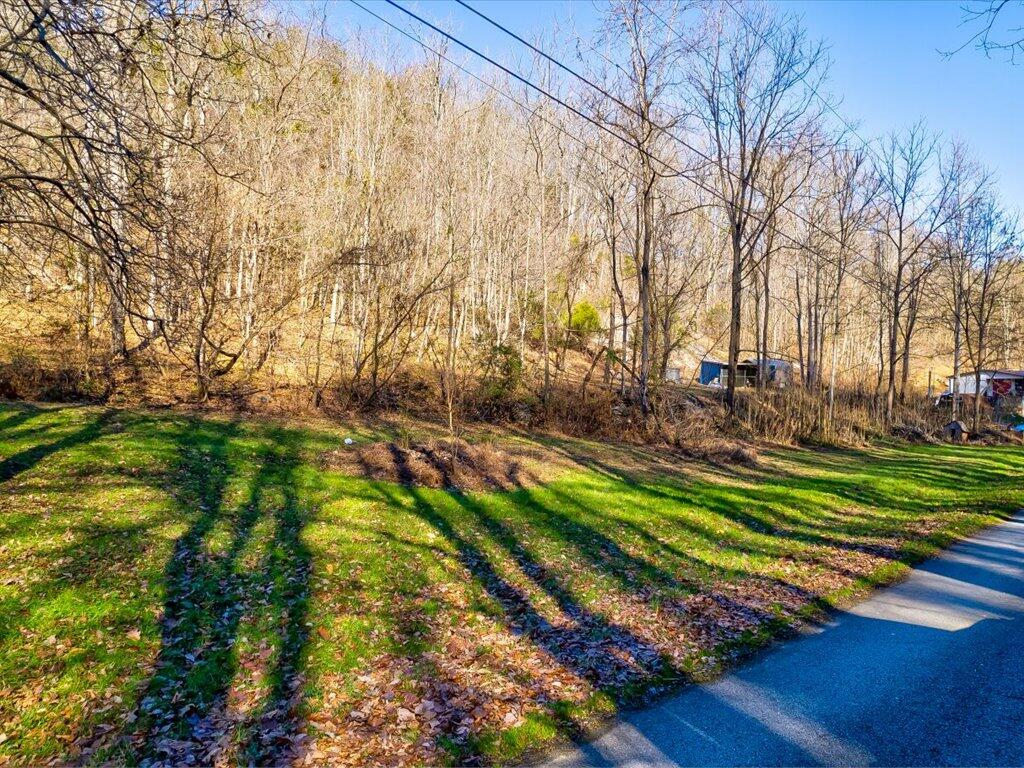0 Reesor Hollow Road Church Hill, TN 37642 - Photo 10 of 35 Reesor Hollow Rd - 4