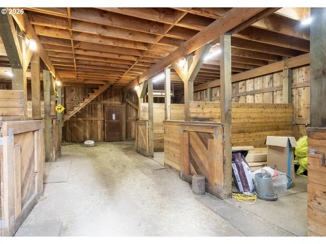 a view of a backyard with large trees