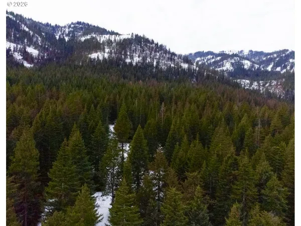 $795,000 | 67388 Timberline Road, Summerville, OR 97876