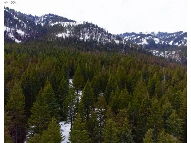 $795,000 | 67388 Timberline Road, Summerville, OR 97876