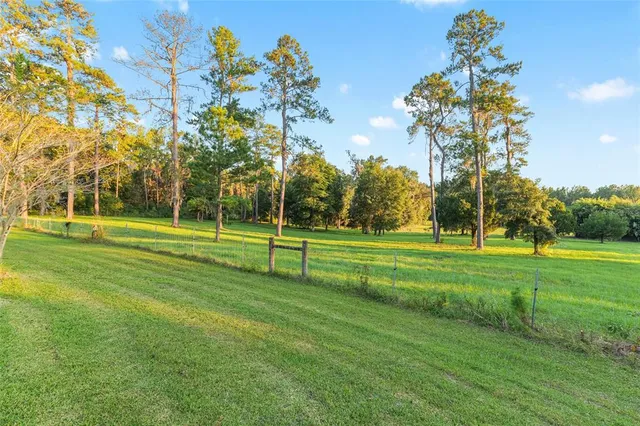 a view of an ocean from a yard