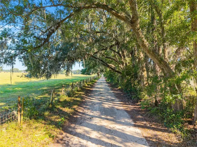 a view of swimming pool with trees and outdoor space