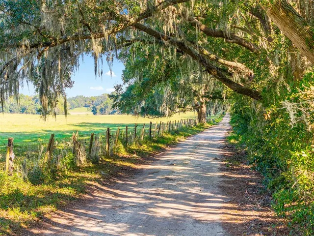 a view of a lake with a mountain