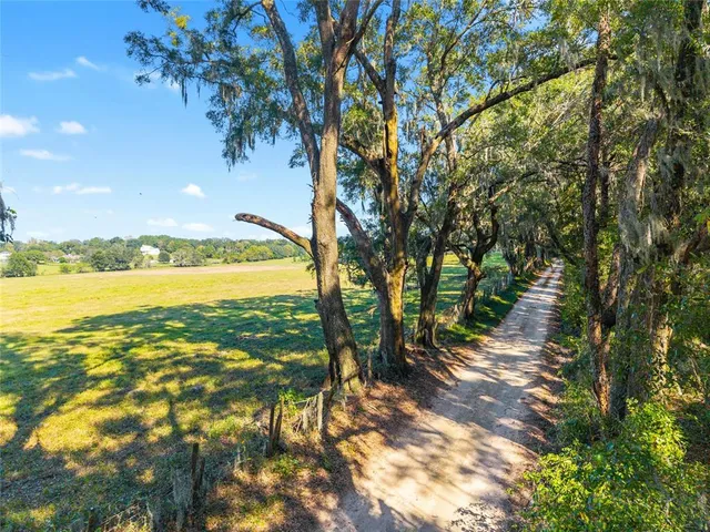 a view of a swimming pool with lawn chairs and plants