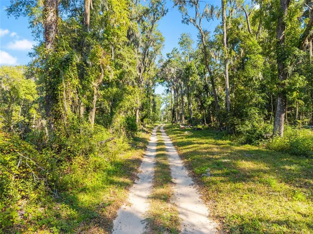 a view of a park with a tree