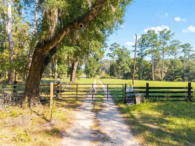 a view of a backyard