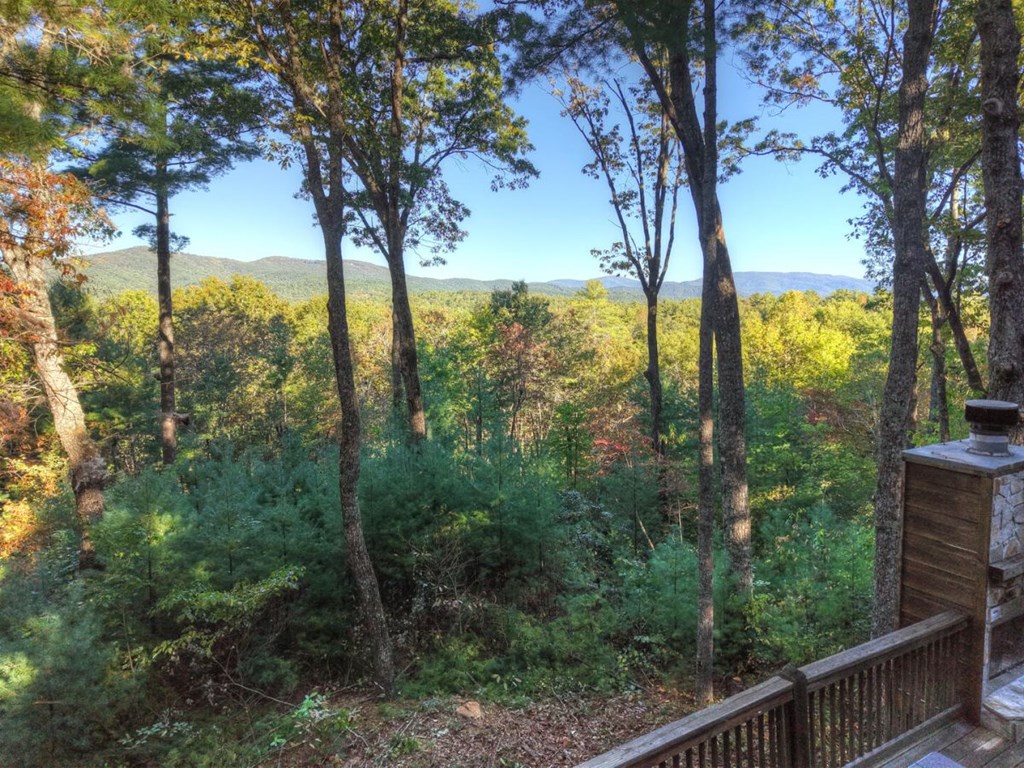 587 Candy Lane Ellijay, GA 30540 - Photo 18 of 40