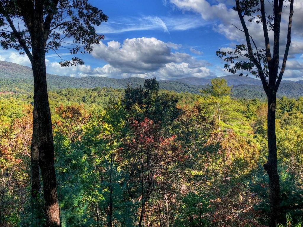 587 Candy Lane Ellijay, GA 30540 - Photo 19 of 40